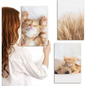 Obraz Sada obrazů na plátně k zavěšení - roztomilá zvířátka, kočky, psi, boho styl, 3x 20x30 cm