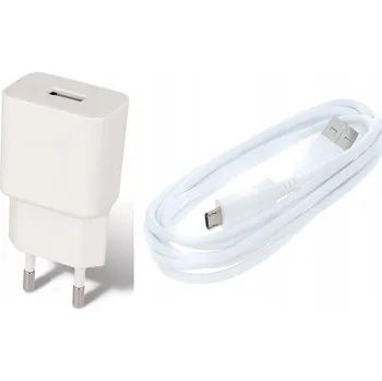 Síťová nabíječka s odpojitelným Micro USB kabelem pro Realme C21Y 4G