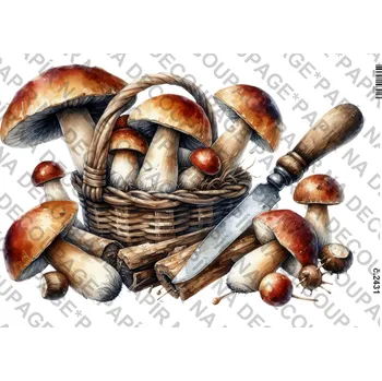 Umělecký papír Rýžový a soft papír na decoupage - Houby - KB2431 Materiál: Soft, Rozměr: A4