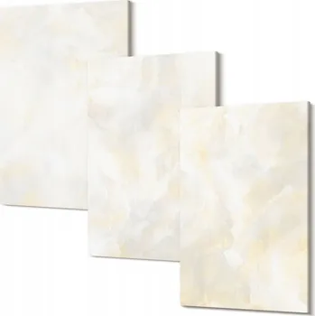 Obraz Triptych na plátně do obývacího pokoje, světlé textury barvy, design 30x20 cm