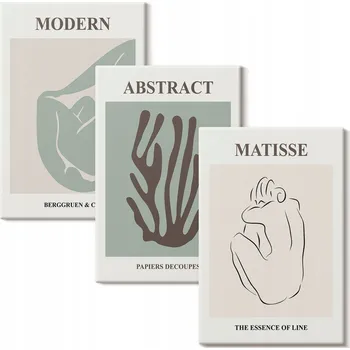 Obraz Vícedílná Sada Obrazů Stylové Abstraktní Obrazy Matisse 3x 20x30 cm