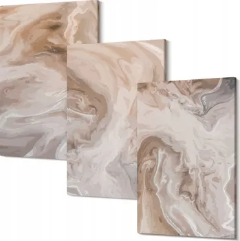 Obraz Sada obrazů na plátně k zavěšení - Mramorové abstraktní textury 30x20 cm