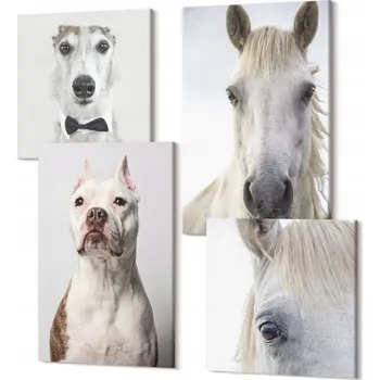 Obraz Sada 4 Obrazů na Plátně do Předsíně: Portréty psů a koní v elegantním provedení