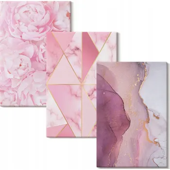 Obraz Sada nástěnných dekorací Galerie Růžové pivoňky geometrické 3x 20x30 cm