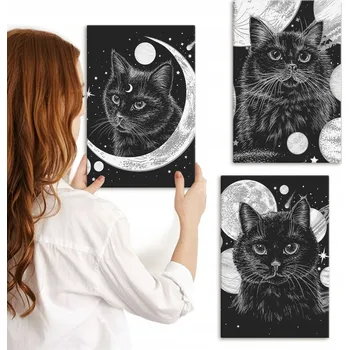 Obraz Kolekce obrazů na plátně k zavěšení - Černé kočky, měsíc, vesmír - 3x 20x30 cm