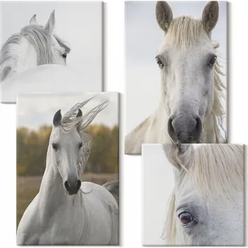 Obraz Sada obrazů na plátně na zeď do obýváku Bílí koně 4 kusy