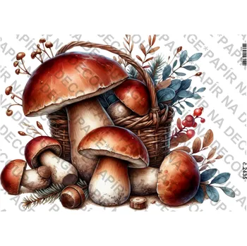 Umělecký papír Rýžový a soft papír na decoupage - Houby - KB2435 Materiál: Soft, Rozměr: A4