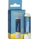 Saloos Rýma a nachlazení inhalační…