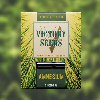 Semeno Victory Seeds - Amnesium 5 ks