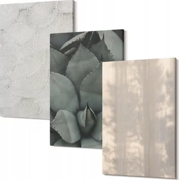 Obraz Sada nástěnných dekorací - obrazy Letní textury tropů, 30x20 cm