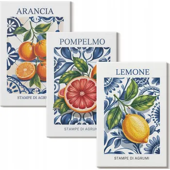 Obraz Sada obrazů na zeď Citrusy italské, moderní plakáty 3x 40x60 cm