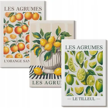 Obraz Sada obrazů na zeď Galerie Citrusy v barevném provedení 3x 20x30 cm