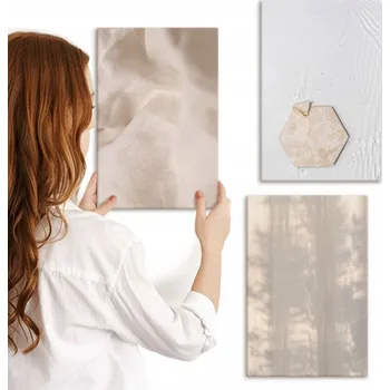 Obraz Sada obrazů do obýváku, komplet: Jemné textury boho příroda 3x 20x30 cm