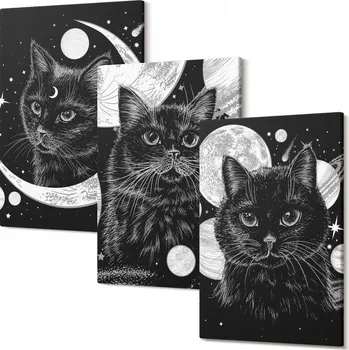 Obraz Sada nástěnných dekorací - obrazy Černé kočky, měsíc, vesmír 30x20 cm