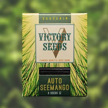 Semeno Victory Seeds - Auto Seemango 3 ks