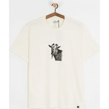 Dickies x Mike Anderson Graphic (natural) M