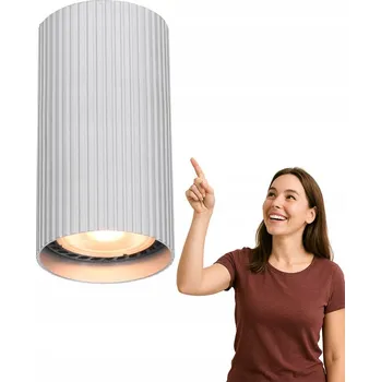 Stropní svítidlo přisazené Italux 10 W patice GU10 stříbrné