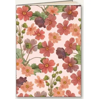 Sešit Psací sada s poznámkovým blokem Tassotti