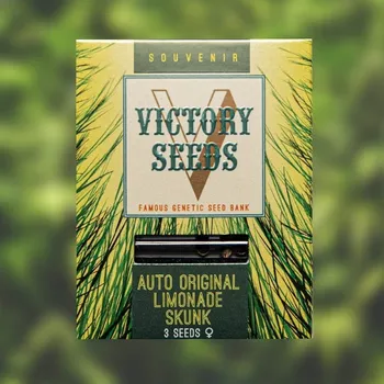 Semeno Victory Seeds - Auto Original Limonade Skunk 5 ks