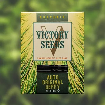Semeno Victory Seeds - Auto Original Berry 10 ks