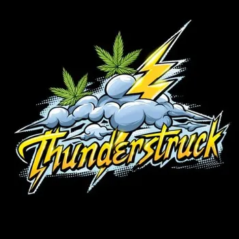Semeno Sumo Seeds - Thunderstruck 3 ks