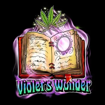 Semeno Sumo Seeds - Violets Wonder 3 ks