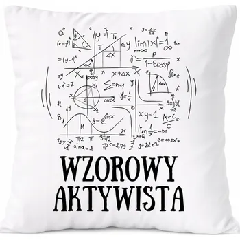 Polštář Dárek Polštář s motivem archeologa s potiskem bílý PoliDraw