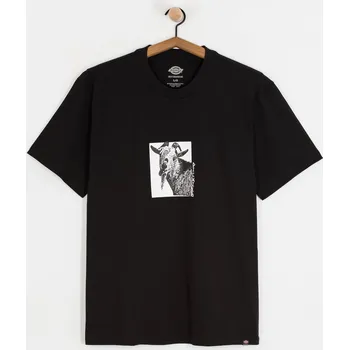 Dickies x Mike Anderson Graphic (black) XL, černá