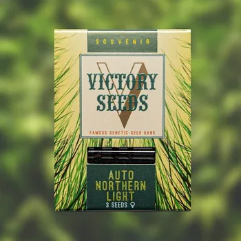 Semeno Victory Seeds - Auto Northern Light 3 ks