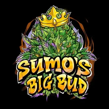 Semeno Sumo Seeds - Sumos Big Bud 3 ks