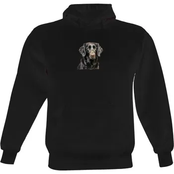 Pánská mikina Pánská mikina s kapucí s potiskem Flat coated černý bavlna a chlupy pánské