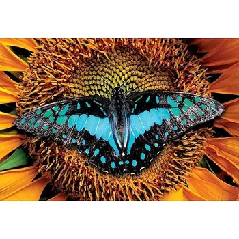 Puzzle Interdruk Puzzle Colorful Nature Motýl 250 dílků
