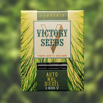 Semeno Victory Seeds - Auto NHL Diesel 5 ks