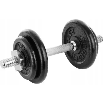 Železná nakládací činka Eb Fit 1x 10 kg