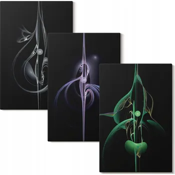 Obraz Sada obrazů na zeď Abstraktní vzory černých barev 3x 20x30 cm