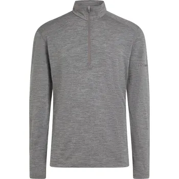 Pánská funkční mikina Icebreaker Men Merino 200 Oasis LS Half Zip Velikost: L / Barva: šedá
