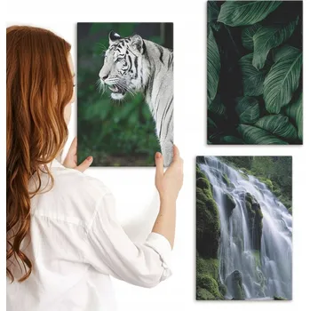 Obraz Vícedílná Sada Obrazů do Galerie Bílý tygr, listy, vodopád 3x 20x30 cm