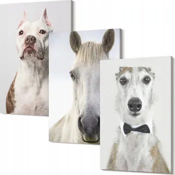 Obraz Sada nástěnných dekorací Galerie Portréty psů a koní elegantní 30x20 cm