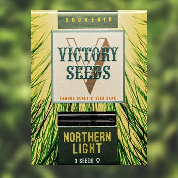 Semeno Victory Seeds - Northern Light 5 ks