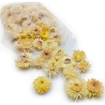 mech-mech.cz Sušené hlavičky Slaměnky (Helichrysum) - citrónové