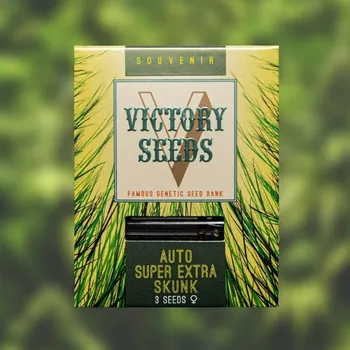 Semeno Victory Seeds - Auto Super Extra Skunk 5 ks
