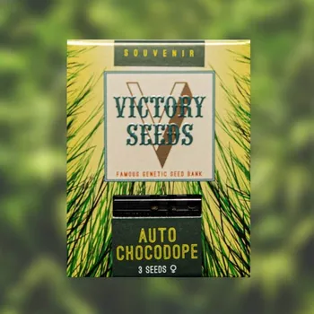 Semeno Victory Seeds - Auto Chocodope 3 ks