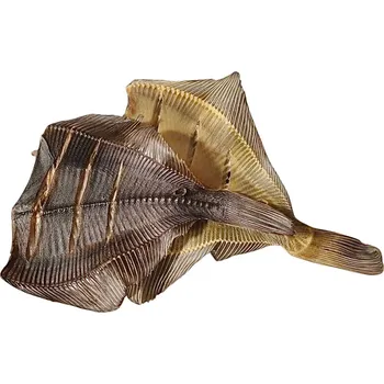 Sušené maso Kambala sušená slaná