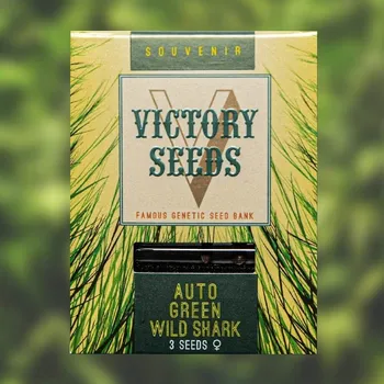 Semeno Victory Seeds - Auto Green Wild Shark 3 ks