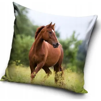 Povlak na dekorativní polštářek Dekorační povlak na polštář Carbotex 40 x 40 cm