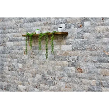 Obklad Kamenný obklad travertin silver 10 cm výška x volné délky x 2,5 cm