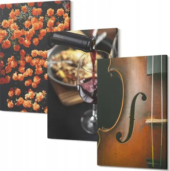 Obraz Obrazy Na Plátně Triptych Do Obýváku Vintage květiny víno housle 30x20 cm