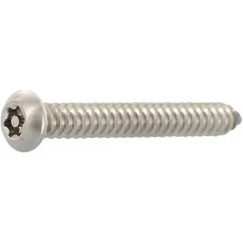 Vrut Pojistný vrut 4.8x19 TX25 PIN, nerez A2 (100 ks)