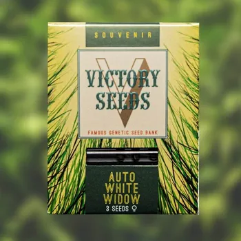 Semeno Victory Seeds - Auto White Widow 3 ks