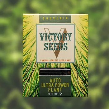 Semeno Victory Seeds - Auto Ultra Power Plant 3 ks
